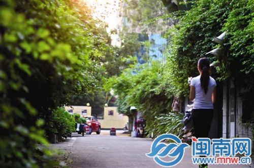 天气晴好，清幽小道上，散散步别有滋味