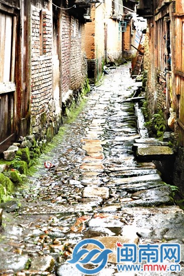 浦源村 人鱼同乐八百年1