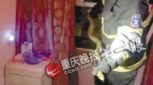 这条大蛇长约两米