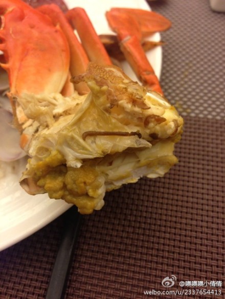 食客吃菜鲟吃出寄生虫