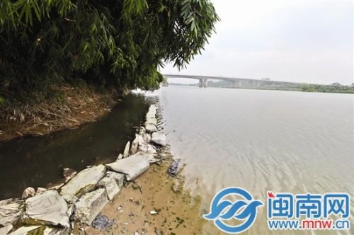 排水沟出来的水（左侧）比九龙江的水黑