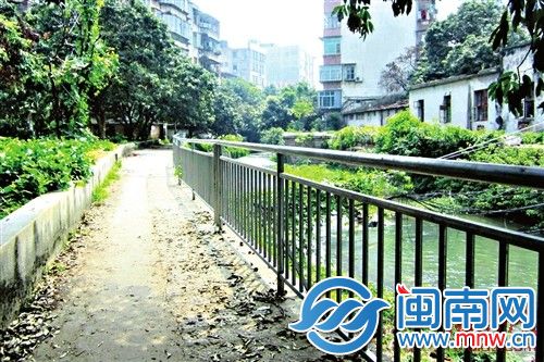 骞垮満娌冲哺杈逛慨璧蜂簡涓ょ櫨浣欑背鐨勬柊鎶ゆ爮