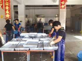 祥芝冷冻厂的工人正在挑选新鲜渔获入库