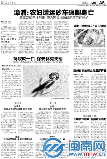 本报相关报道11