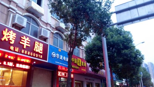 香樟树遭毒手“肢臂”被砍断