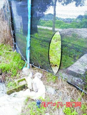 可疑男子就是从这个洞进入牛蛙池