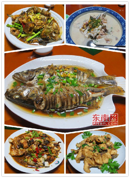 舌尖全鱼宴