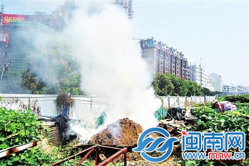 菜农用泥土压住火苗，但还是产生大量浓烟