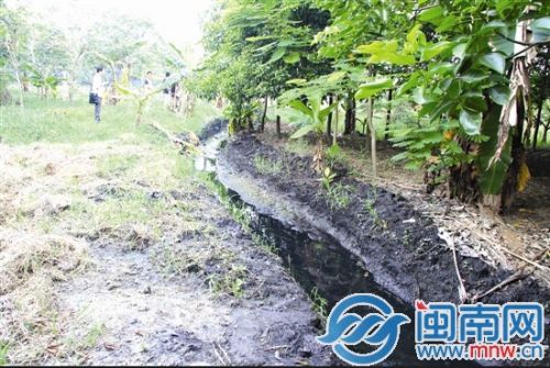 姹℃按鎶婃暣鏉℃按娌熼兘鏌撻粦锛屾矡搴曟崬璧风殑娣ゆ偿锛屼篃鏄粦鐨?jpg