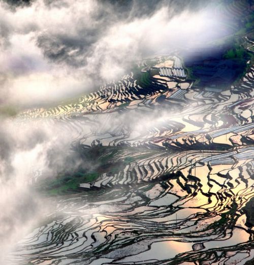 尤溪联合梯田2