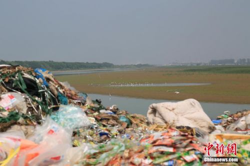 浙江余姚杭州湾海涂现七彩油污 3