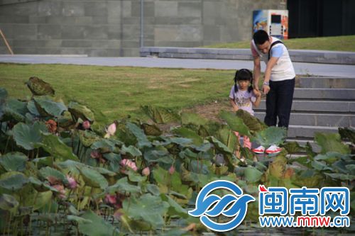 澶ф墜鎷夊皬鎵嬶紝涓€璧疯祻鑽疯姳(鏄ㄦ棩涓嬪崍鎽勪簬婕冲窞纰ф箹鍏洯)