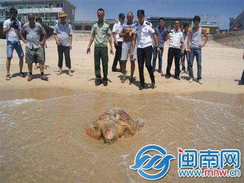 鐧惧瞾锠甸緹