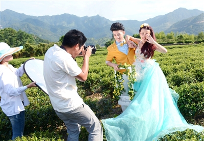 一对情侣近日在蕉城霍童溪沿岸茶园拍摄婚纱照。