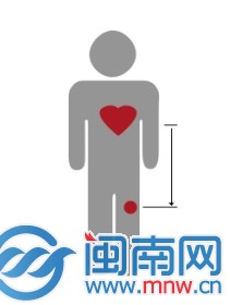 蛇咬