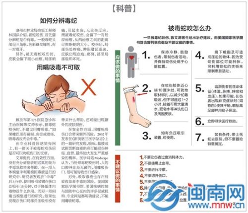 立祺 制图