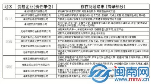 漳州主要县（市、区）燃企存在问题一览
