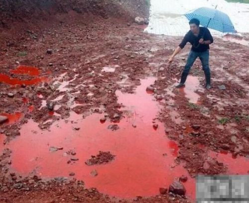 河南汝阳县马兰河变血河 环保部门称无毒已紧急处理(图)