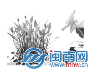 再力花