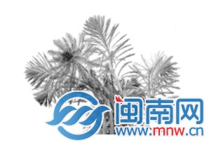 狐尾藻