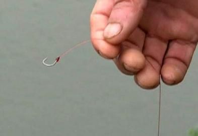 农家乐老板在渔塘边下鱼钩捕捉白鹭。