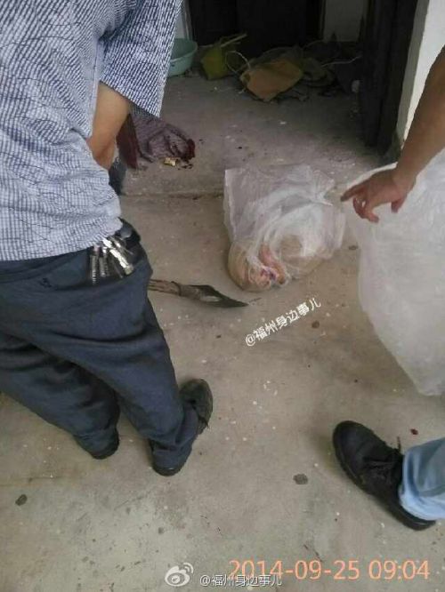 虐狗事件