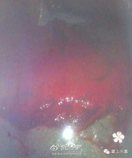 图为死者溅出的血