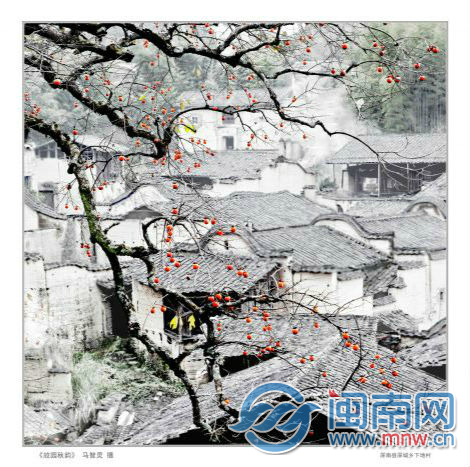 参展作品《故园秋韵》马智灵摄