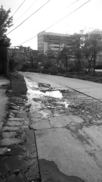洪濑旧洪梅路积水“泡路”1年多