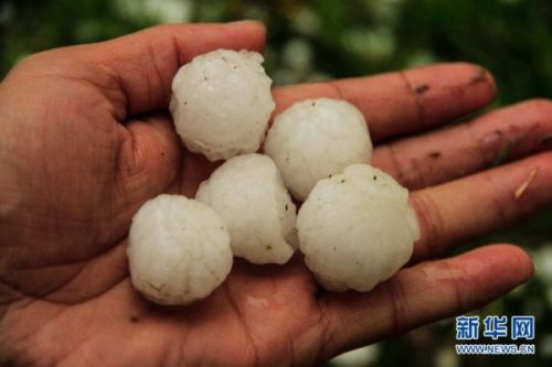 甘肃环县遭大风冰雹暴雨袭击