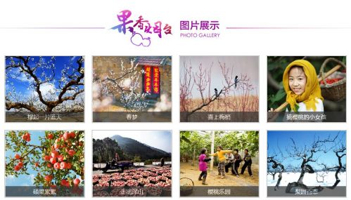 水母网“仙境海岸，果香烟台”专题上线3