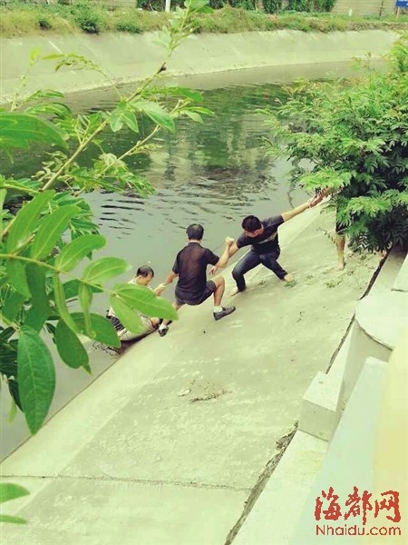 路人合力将男孩父亲拉起时，其已不幸身亡