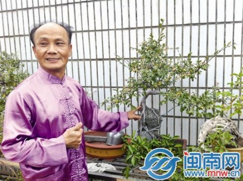 说起自己精心培育的盆栽，老李很有心得