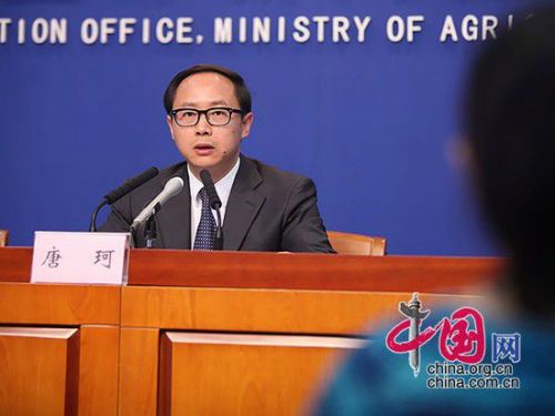 中国转基因抗虫水稻和高植酸酶玉米已获安全证书