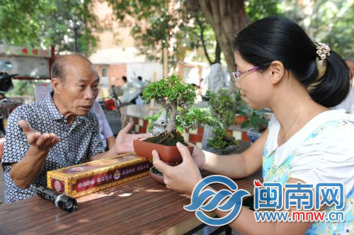 陈汉农阿伯给厝边讲解养绿经验