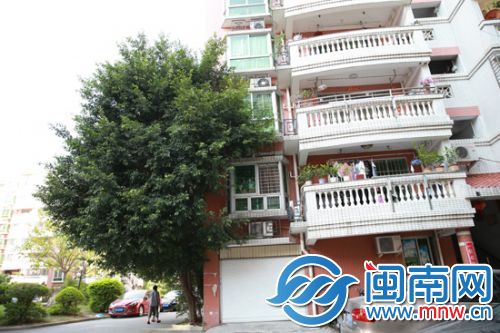 亿龙花苑，一棵树紧挨居民楼，招蚊子