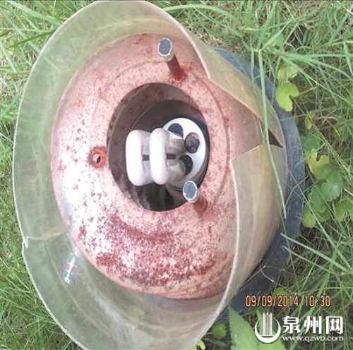 江南春天第四单元前绿化照明灯破损