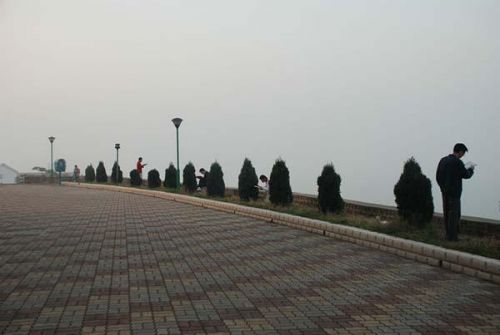 河南平顶山学院女学生与男友在宾馆宾馆烧炭身