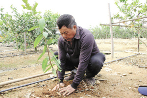 蔡志阳：“懒人”种植奇花异果