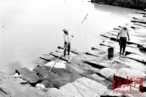 捕鱼者手中捞鱼的网子连着电线，将鱼电晕捞起