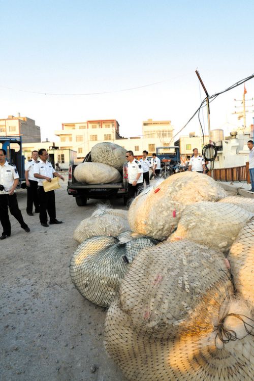 莆田重拳打击非法捕捞 对8个渔业港口联合执法