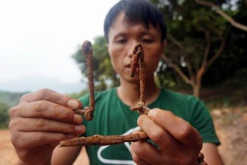 图②：墓穴里挖出的铁钉、铁链。