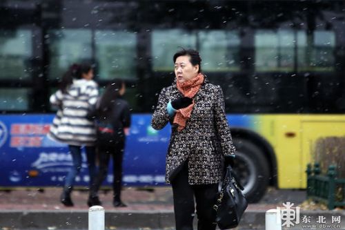 黑龙江多地迎来今秋首场降雪(图)