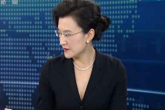 央视女主播低胸深V透视豹纹露乳沟组图 CCTV放宽出镜要求