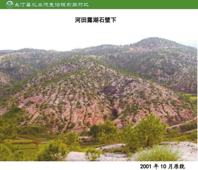 长汀县河田镇露湖村石壁下水土流失治理前后对比图。~