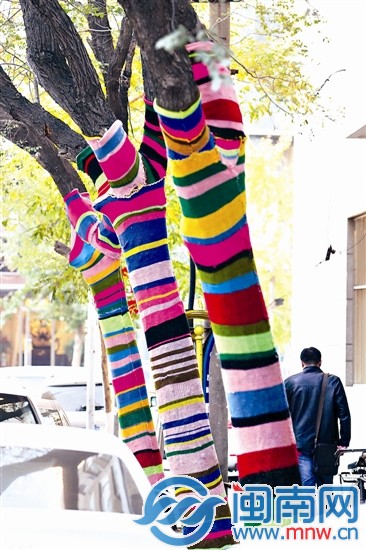 大树被彩虹色的毛线布包裹起来