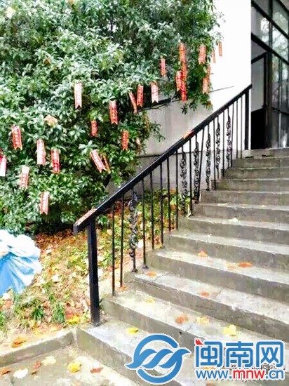 有的树上一贴就是十几张告白条