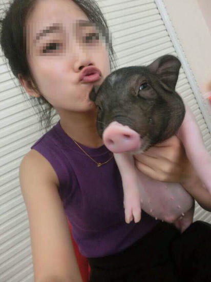 姑娘养小香猪养成大肥猪