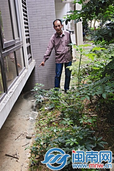 小偷躲藏在这个角落里，最终被老崔给擒住