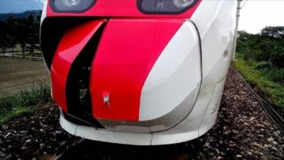 台铁普悠玛列车行经花莲撞上5头牛 车头受损